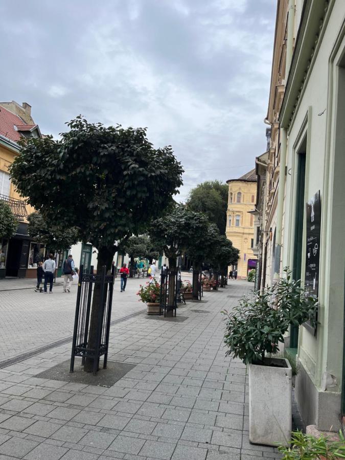 Wiener Garden Дьєр Екстер'єр фото