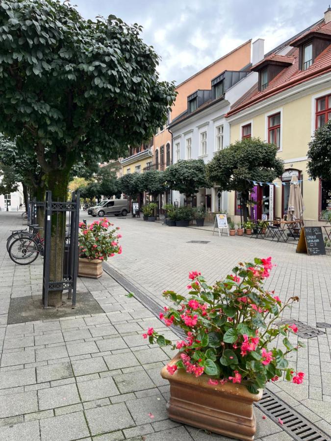 Wiener Garden Дьєр Екстер'єр фото